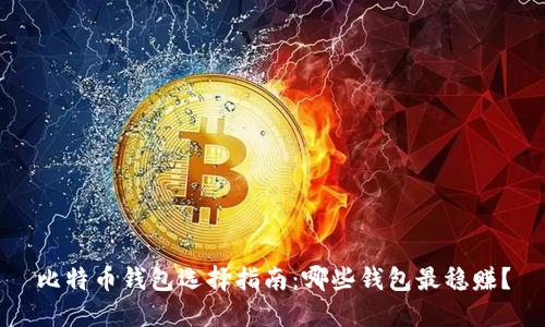 比特币钱包选择指南：哪些钱包最稳赚？