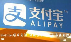 Tokenim项目点评：评析其独