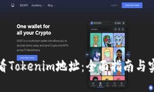 如何查看Tokenim地址：全面指南与实用技巧