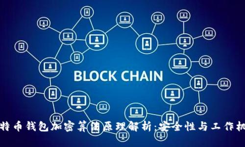 比特币钱包加密算法原理解析：安全性与工作机制