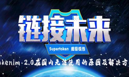 Tokenim 2.0在国内无法使用的原因及解决方案