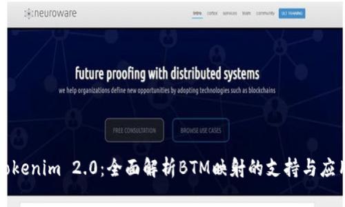 Tokenim 2.0：全面解析BTM映射的支持与应用