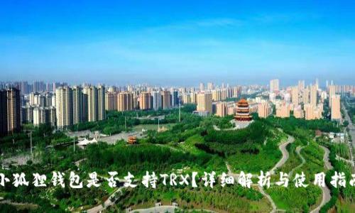小狐狸钱包是否支持TRX？详细解析与使用指南