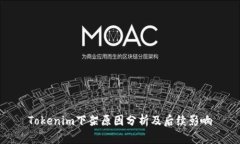 Tokenim下架原因分析及后续