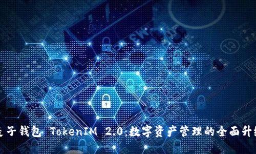 麦子钱包 TokenIM 2.0：数字资产管理的全面升级