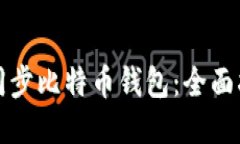 如何快速同步比特币钱包