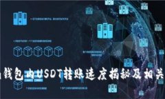 Token.im钱包内USDT转账速度