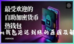 Tokenim钱包延迟到账的原因