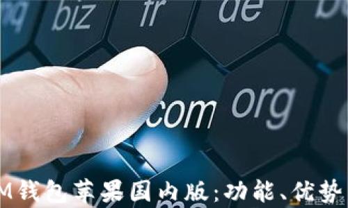 
全面解析IM钱包苹果国内版：功能、优势与使用指南