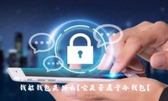 钱能钱包是什么？它是否