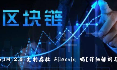 TokenIM 2.0 支持存放 Filecoin 吗？详细解析与指南