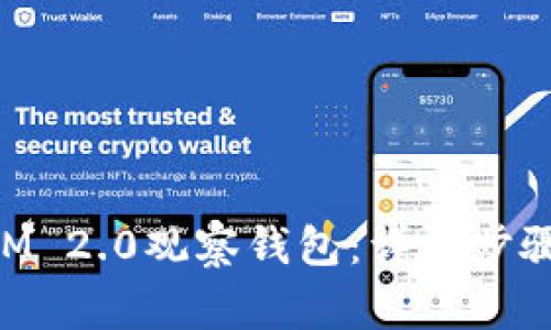 如何设置TokenIM 2.0观察钱包：详尽步骤与常见问题解答