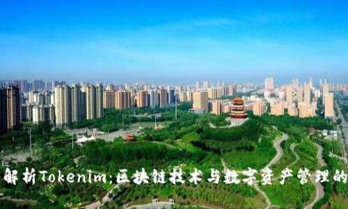 深入解析Tokenim：区块链技术与数字资产管理的未来