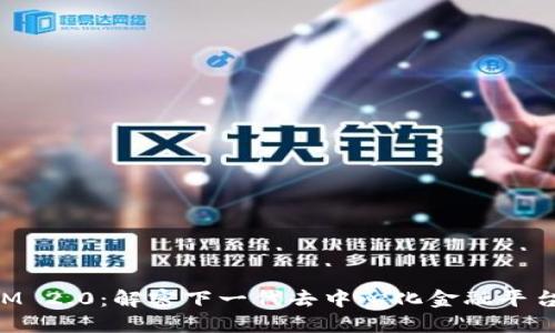 TokenIM 2.0：解密下一代去中心化金融平台的未来