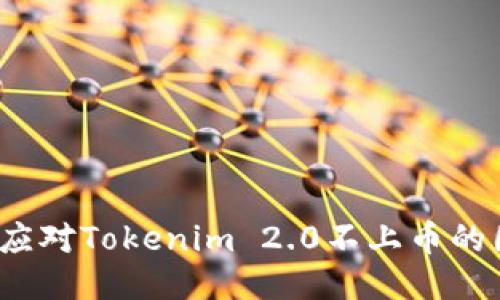 如何应对Tokenim 2.0不上币的困扰？