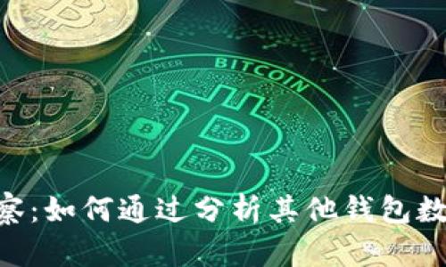Tokenim观察：如何通过分析其他钱包数字资产管理