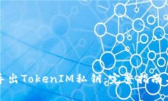 如何安全导出TokenIM私钥：