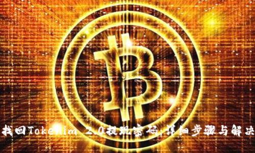 如何找回Tokenim 2.0提现密码：详细步骤与解决方案