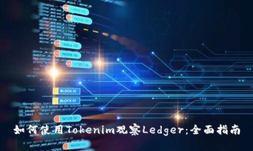 如何使用Tokenim观察Ledger：全面指南