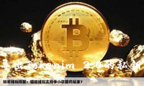 如何安全导出Tokenim 2.0的私钥：详细指南