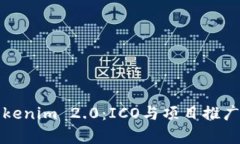 深入解析Tokenim 2.0：ICO与项