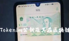 全面解析Tokenim公钥及其在