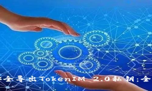 如何安全导出TokenIM 2.0私钥：全面指南