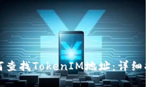 如何查找TokenIM地址：详细指南