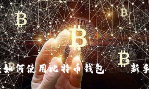 完整指南：如何使用比特币钱包——新手入门必看