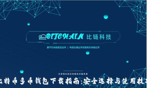   
比特币多币钱包下载指南：安全选择与使用技巧