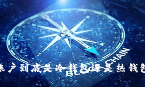 USDT资金账户到底是冷钱包还是热钱包？深度解析