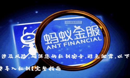 请注意：直接操作私钥涉及风险，确保您的私钥安全，避免泄露。以下内容仅供学习与参考。

如何在Tokenim 2.0中导入私钥？完整指南