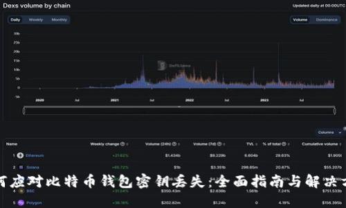 如何应对比特币钱包密钥丢失：全面指南与解决方案