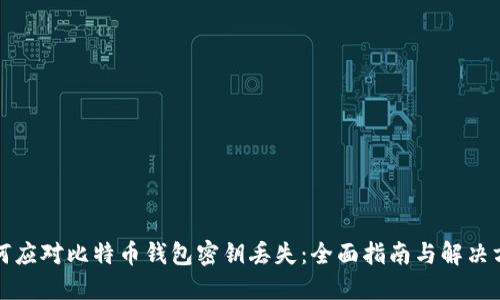 如何应对比特币钱包密钥丢失：全面指南与解决方案
