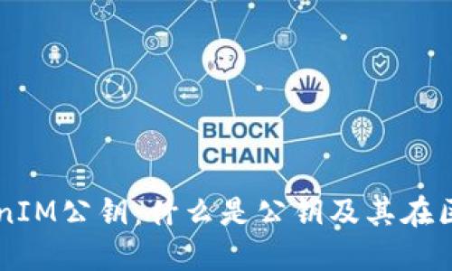 深入了解TokenIM公钥：什么是公钥及其在区块链中的应用