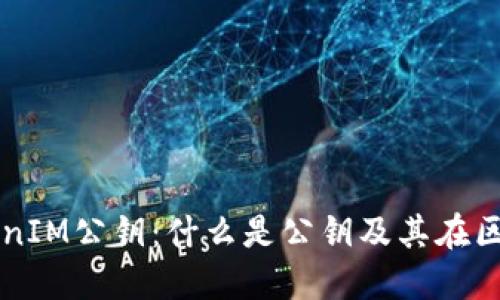 深入了解TokenIM公钥：什么是公钥及其在区块链中的应用
