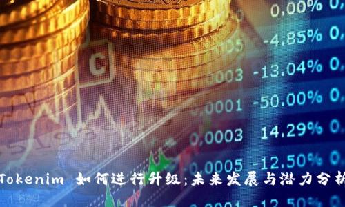 Tokenim 如何进行升级：未来发展与潜力分析