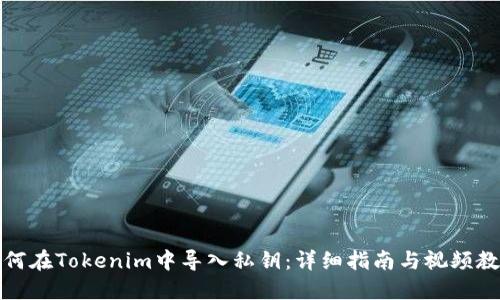 如何在Tokenim中导入私钥：详细指南与视频教程