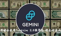 如何安全使用Tokenim 2.0假钱