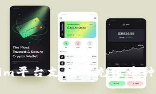 Tokenim平台支持的充值币种全解析