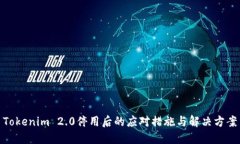 Tokenim 2.0停用后的应对措施