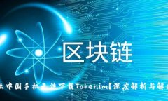 为什么中国手机无法下载