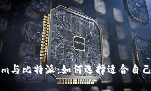 深入分析Tokenim与比特派：如何选择适合自己的数字货币钱包