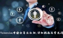 如何在Tokenim中安全导出私钥：详细指南及常见问