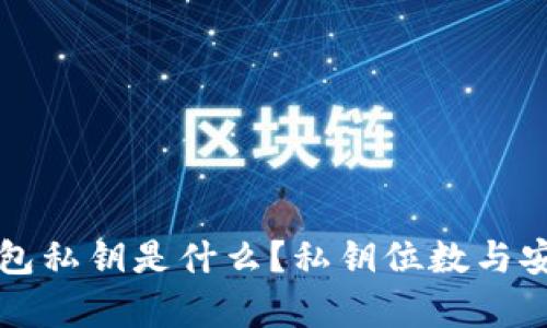 比特币钱包私钥是什么？私钥位数与安全性解析