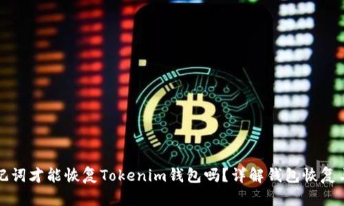 只有助记词才能恢复Tokenim钱包吗？详解钱包恢复与安全性