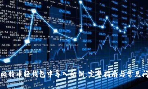 如何在比特币轻钱包中导入私钥：完整指南与常见问题解析