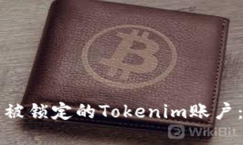如何解锁被锁定的Tokenim账户：详尽指南