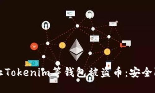 如何防止Tokenim等钱包被盗币：安全防护指南