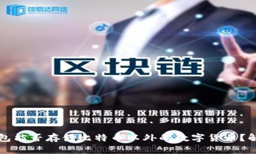 比特币钱包能否存储比特币以外的数字货币？解析与误区